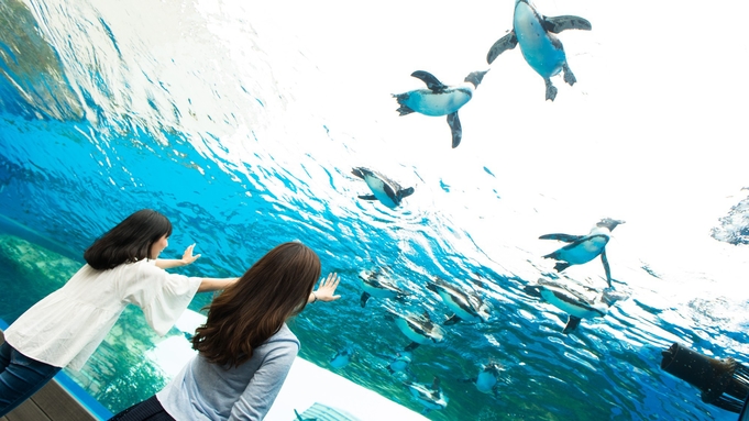 【チケット付き】都会に浮かぶ「天空のオアシス」サンシャイン水族館チケット付プラン